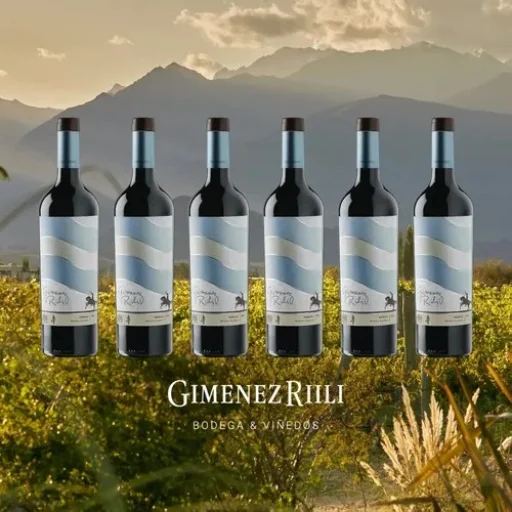 Caja bodega gomenez riili x2